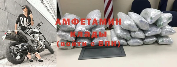 крисы Аркадак
