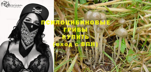 прущие крисы Арсеньев