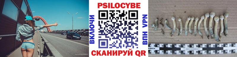 Псилоцибиновые грибы Cubensis  Карабаш 